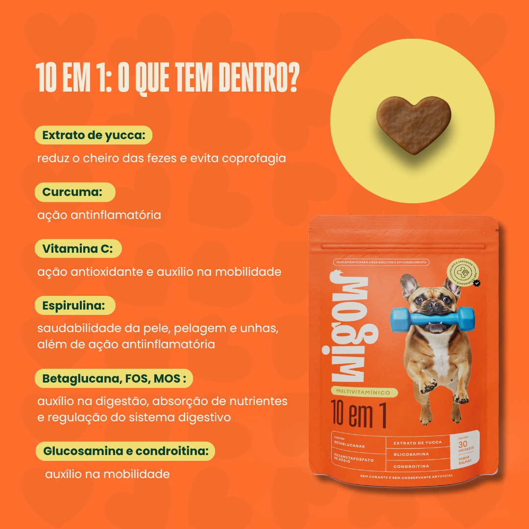 Suplemento Wigow Multivitamínico - 10 em 1 84g