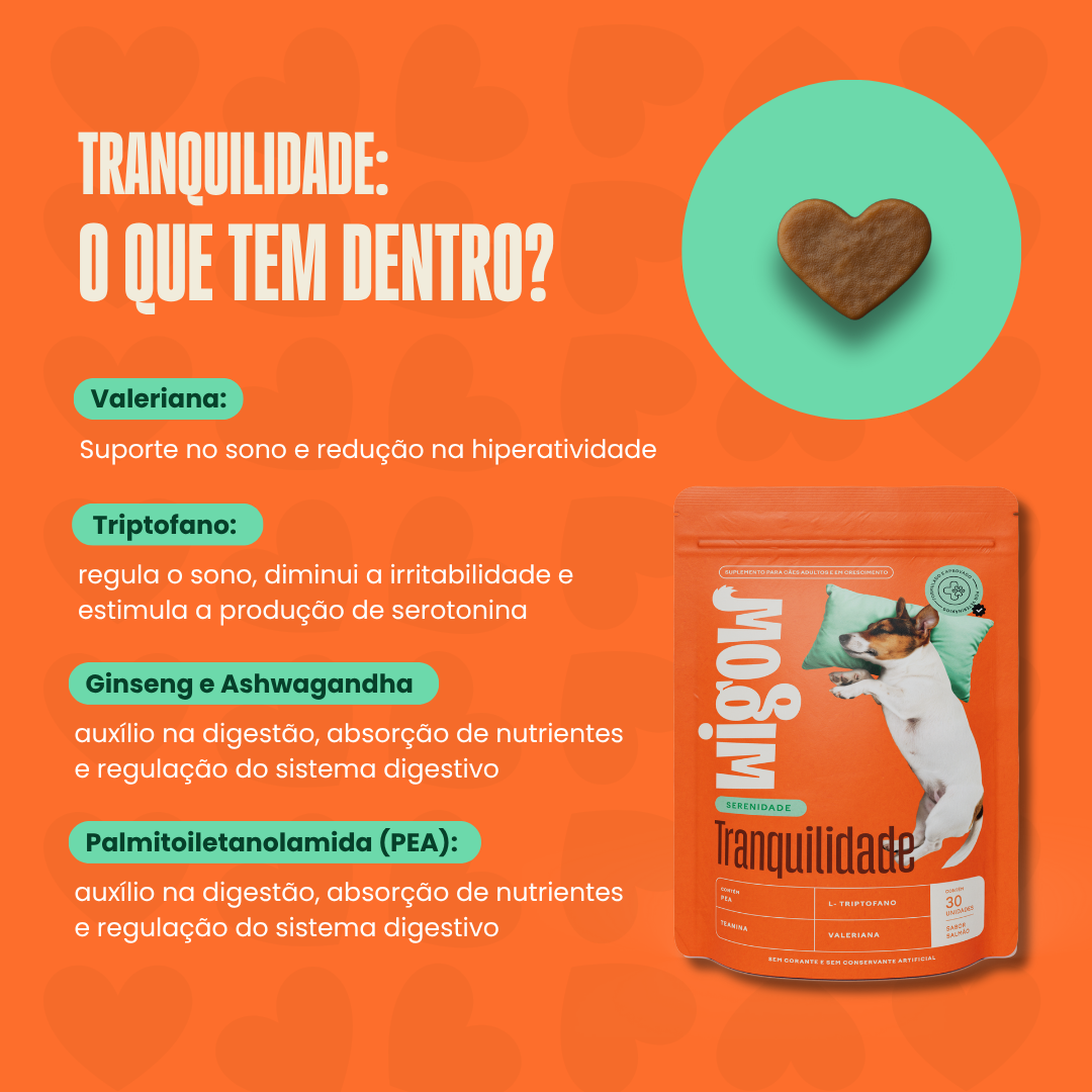 Suplemento Wigow Tranquilidade 84g