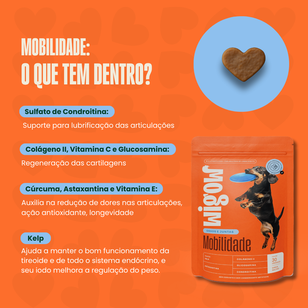 Suplemento Wigow Mobilidade 84g
