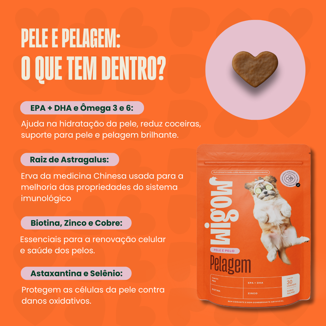 Suplemento Wigow Pelagem 84g