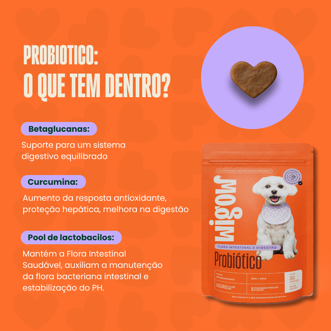 Suplemento Wigow Probiótico 84g