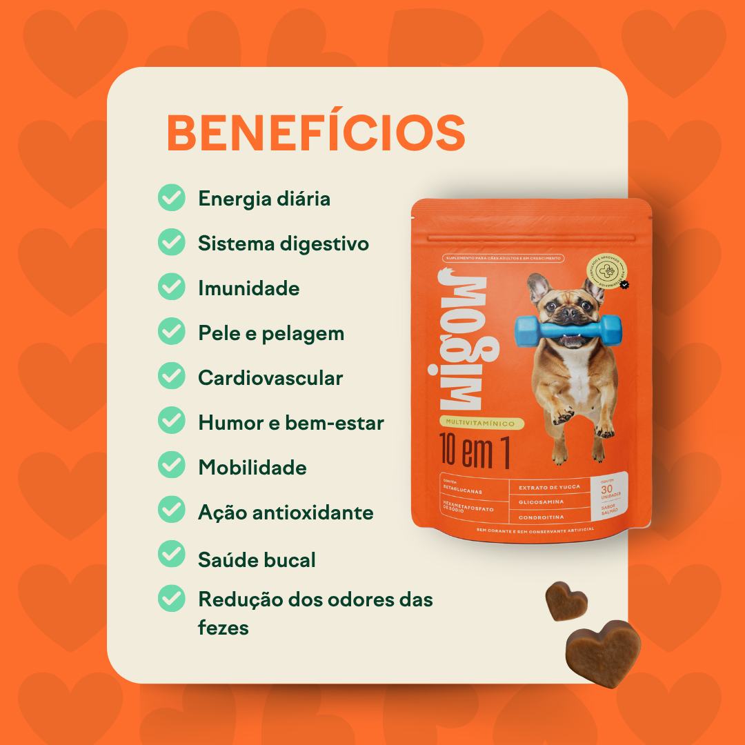 Suplemento Wigow Multivitamínico - 10 em 1 84g