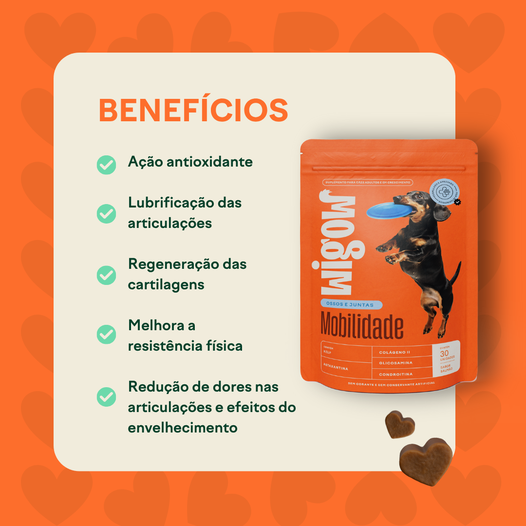 Suplemento Wigow Mobilidade 84g