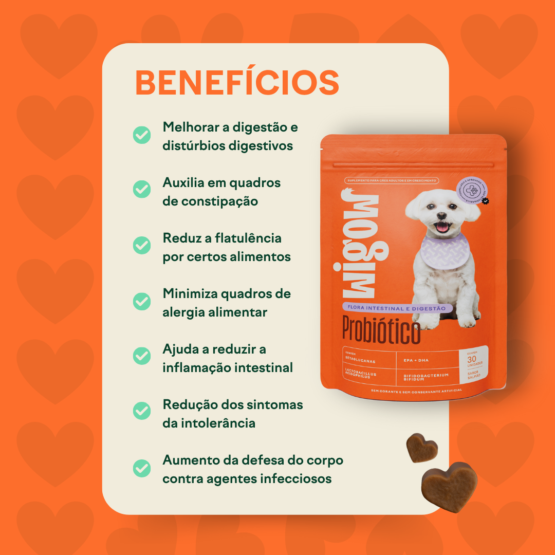 Suplemento Wigow Probiótico 84g