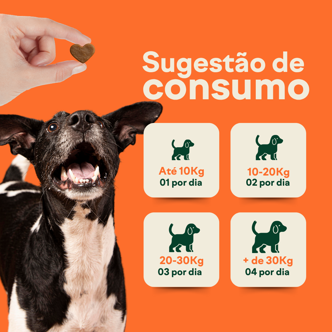 Suplemento Wigow 10 em 1 Multivitamínico 30 unidades