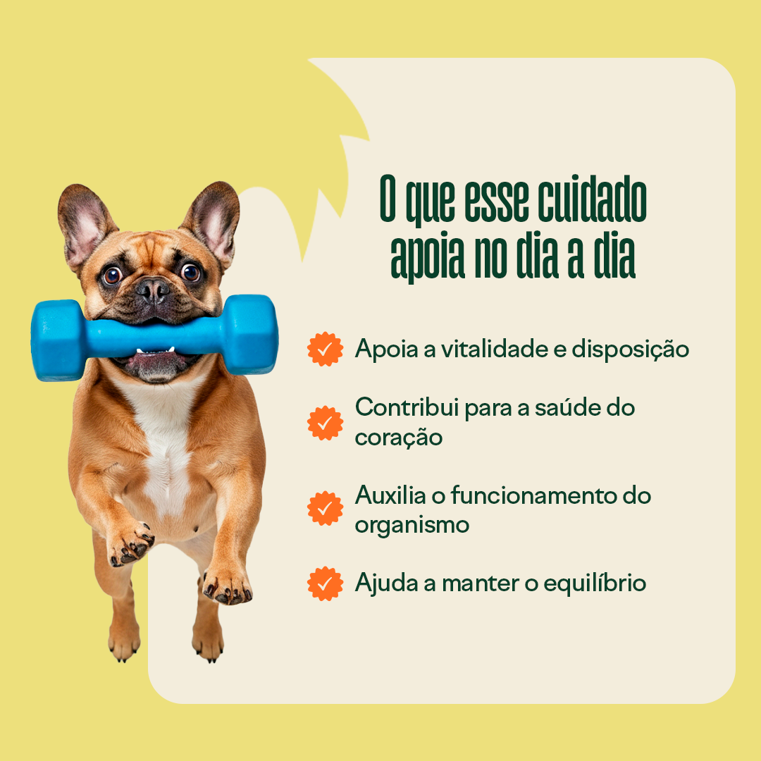 Kit Cão Idoso: Articulações + Vitaminas