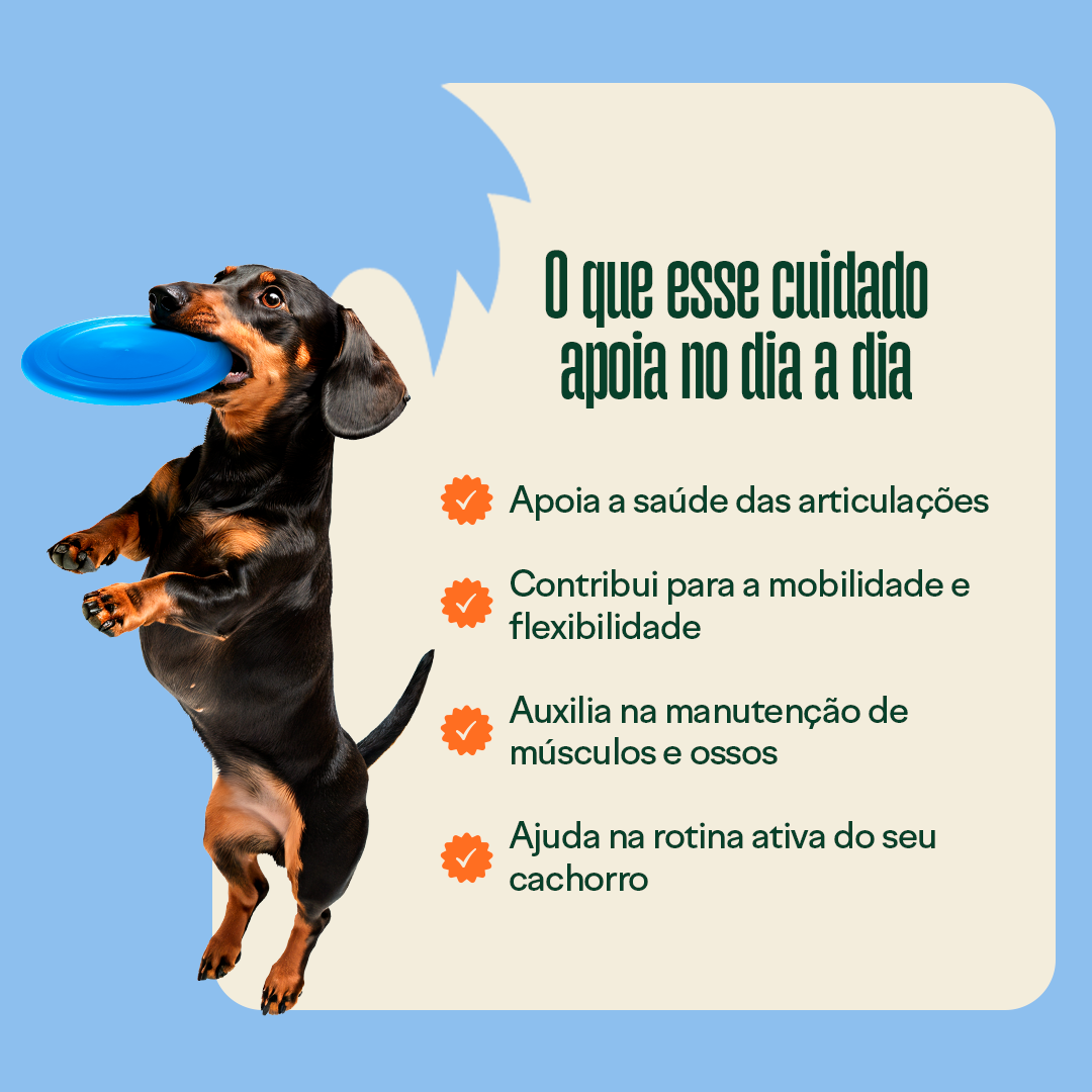 Suplemento Wigow Mobilidade 30 unidades