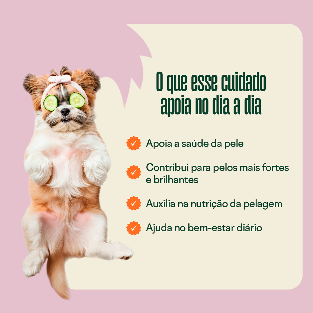 Kit Adeus Coceira & Ansiedade