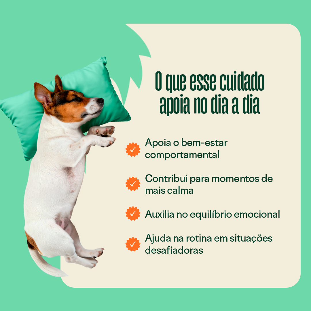 Kit Adeus Coceira & Ansiedade