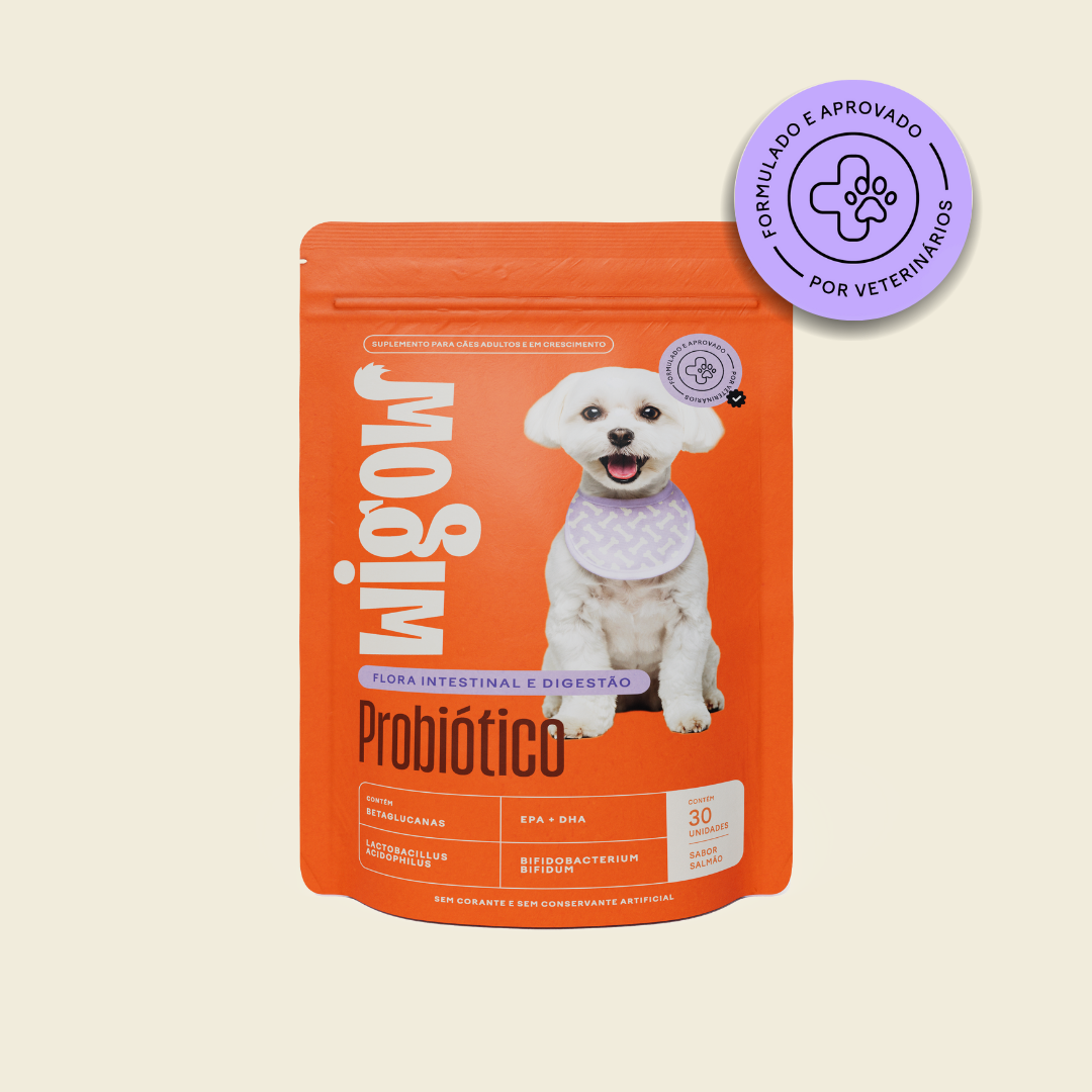 3 Suplemento Wigow Probiótico - 10 em 1 - 84g