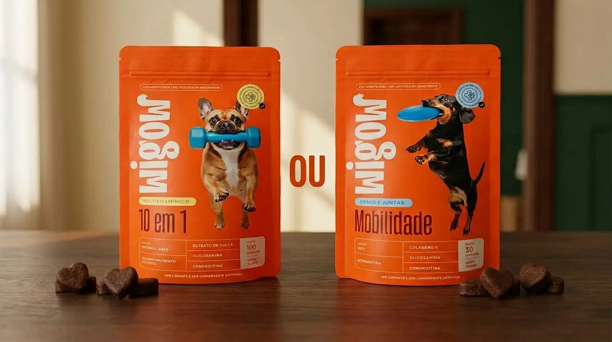 Comparação entre Wigow Multivitamínico 10 em 1 e Wigow Mobilidade, lado a lado com a palavra "OU" entre os dois suplementos em formato de coração.