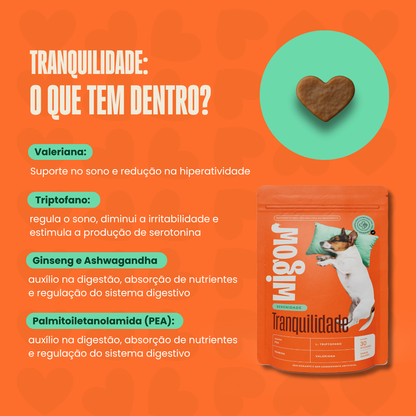 Suplemento Wigow Tranquilidade 84g
