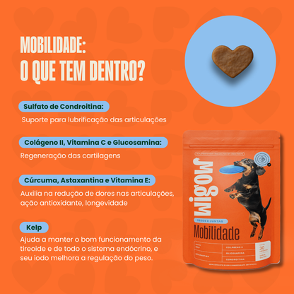 Suplemento Wigow Mobilidade 84g