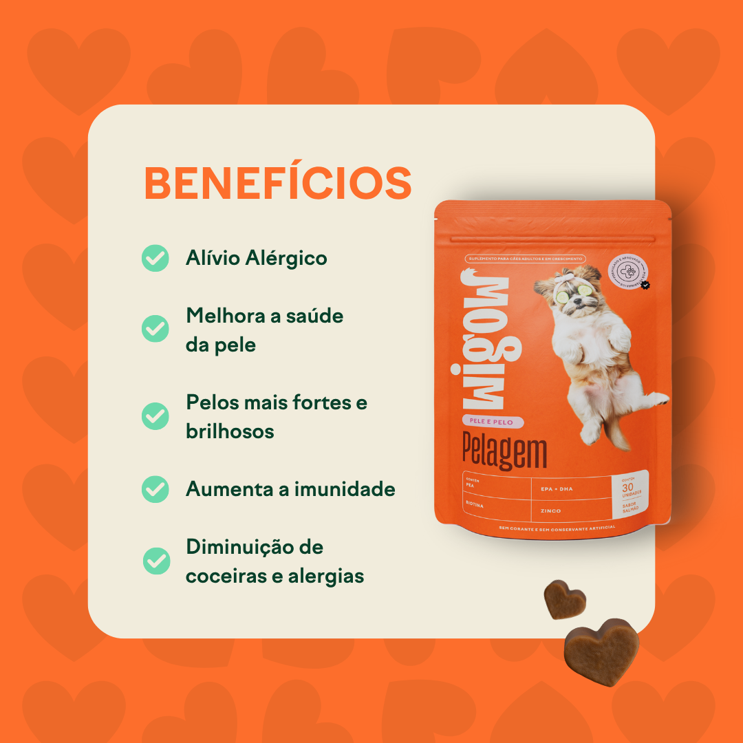 Suplemento Wigow Pelagem 84g