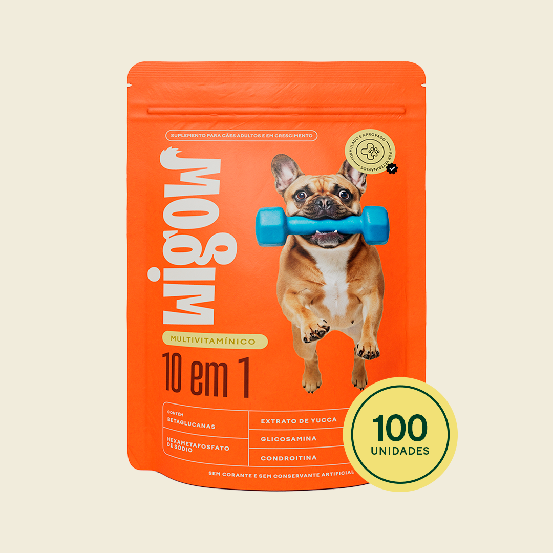 TESTE Wigow 10 em 1 Multivitamínico 30 unidades (Cópia)