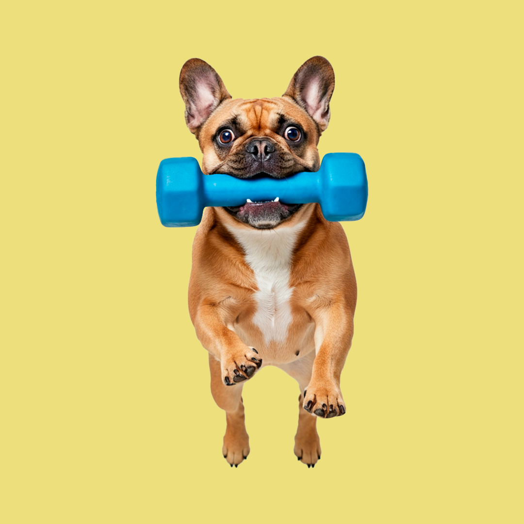 Equilíbrio para o bem-estar