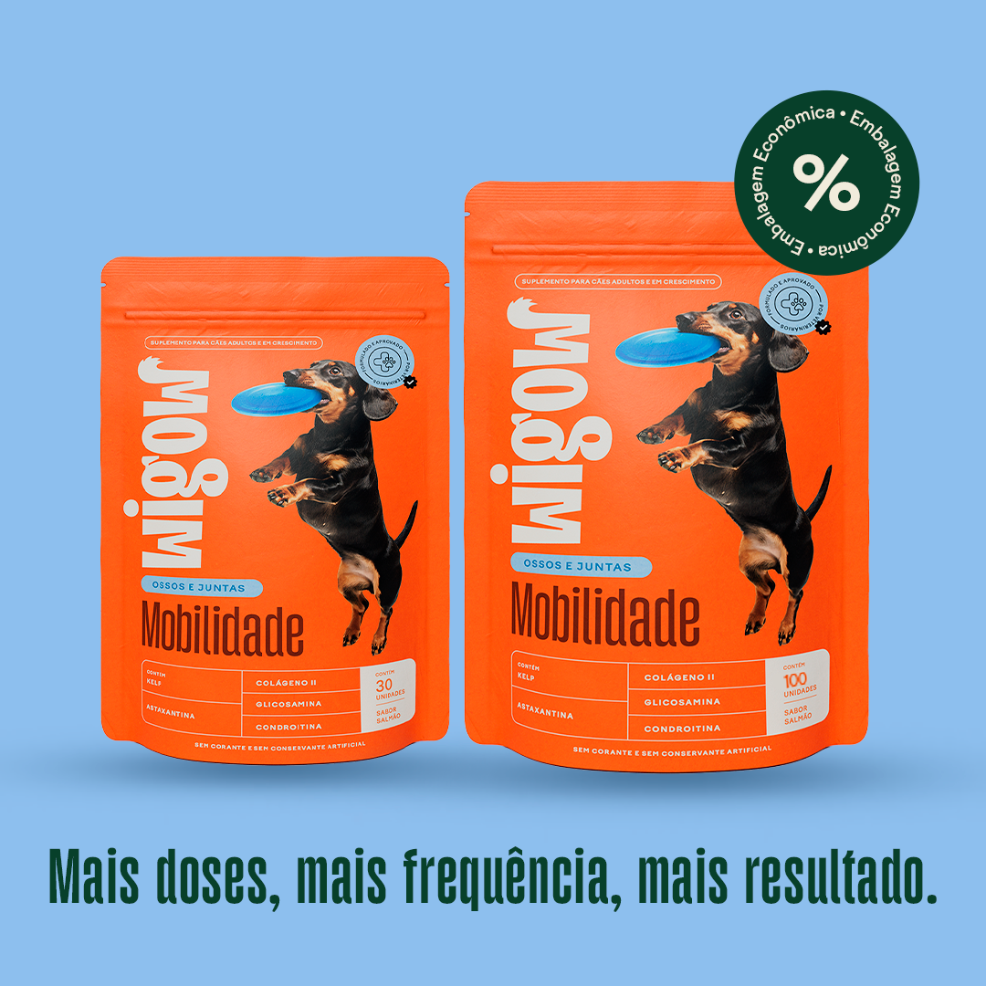 Wigow Mobilidade 100 unidades + Caneca Mães