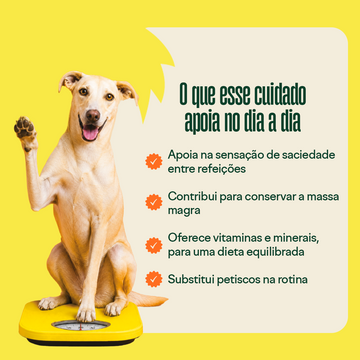 Collab Wigow  Balance + Comedouro Lento Amicus