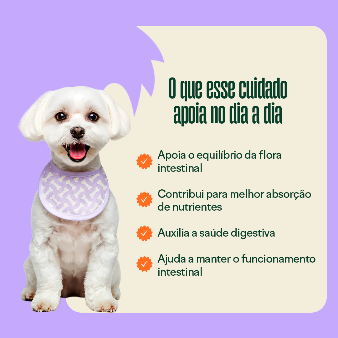 Suplemento Wigow Probiótico 30 unidades