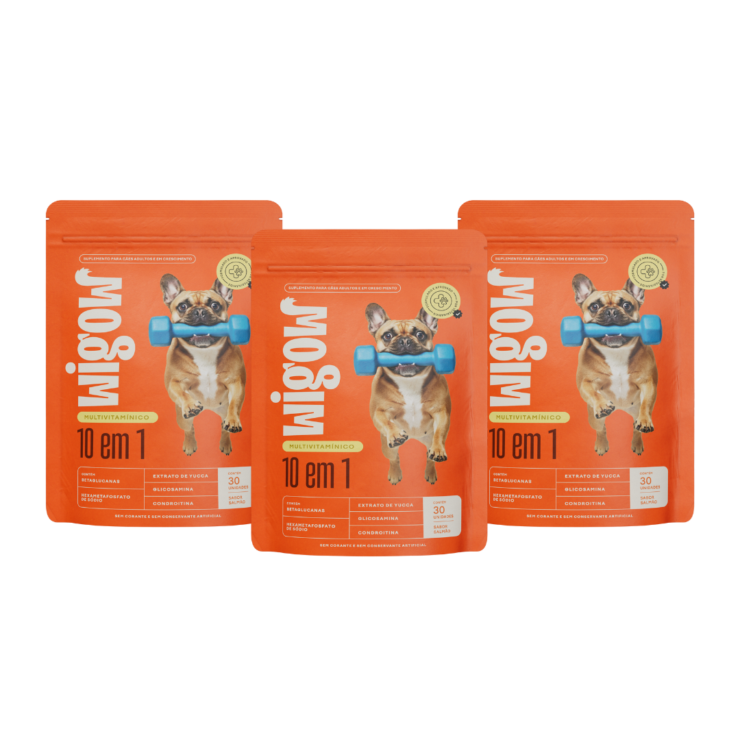 3 Suplemento Wigow Multivitamínico - 10 em 1 - 84g