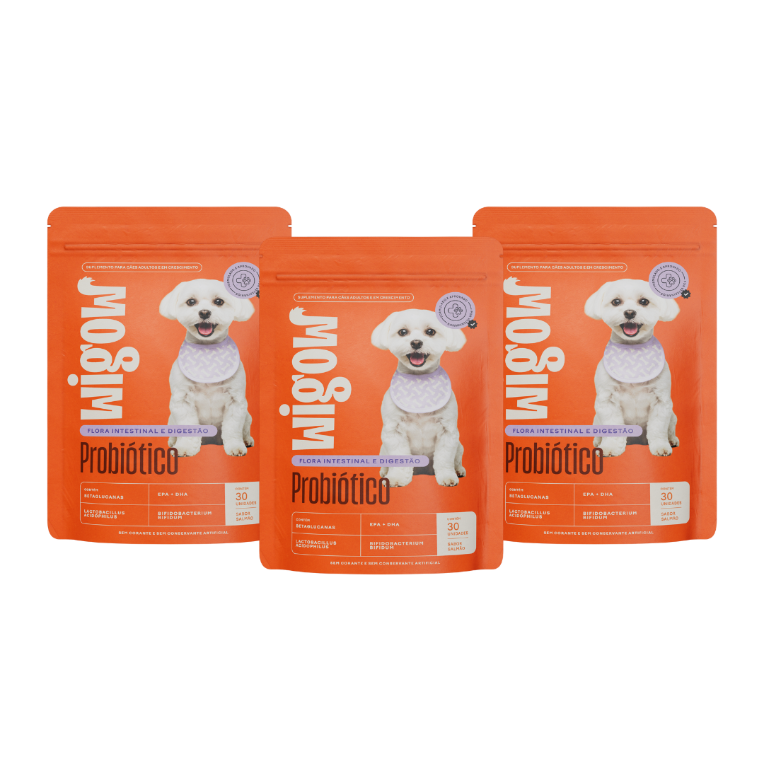 3 Suplemento Wigow Probiótico - 10 em 1 - 84g