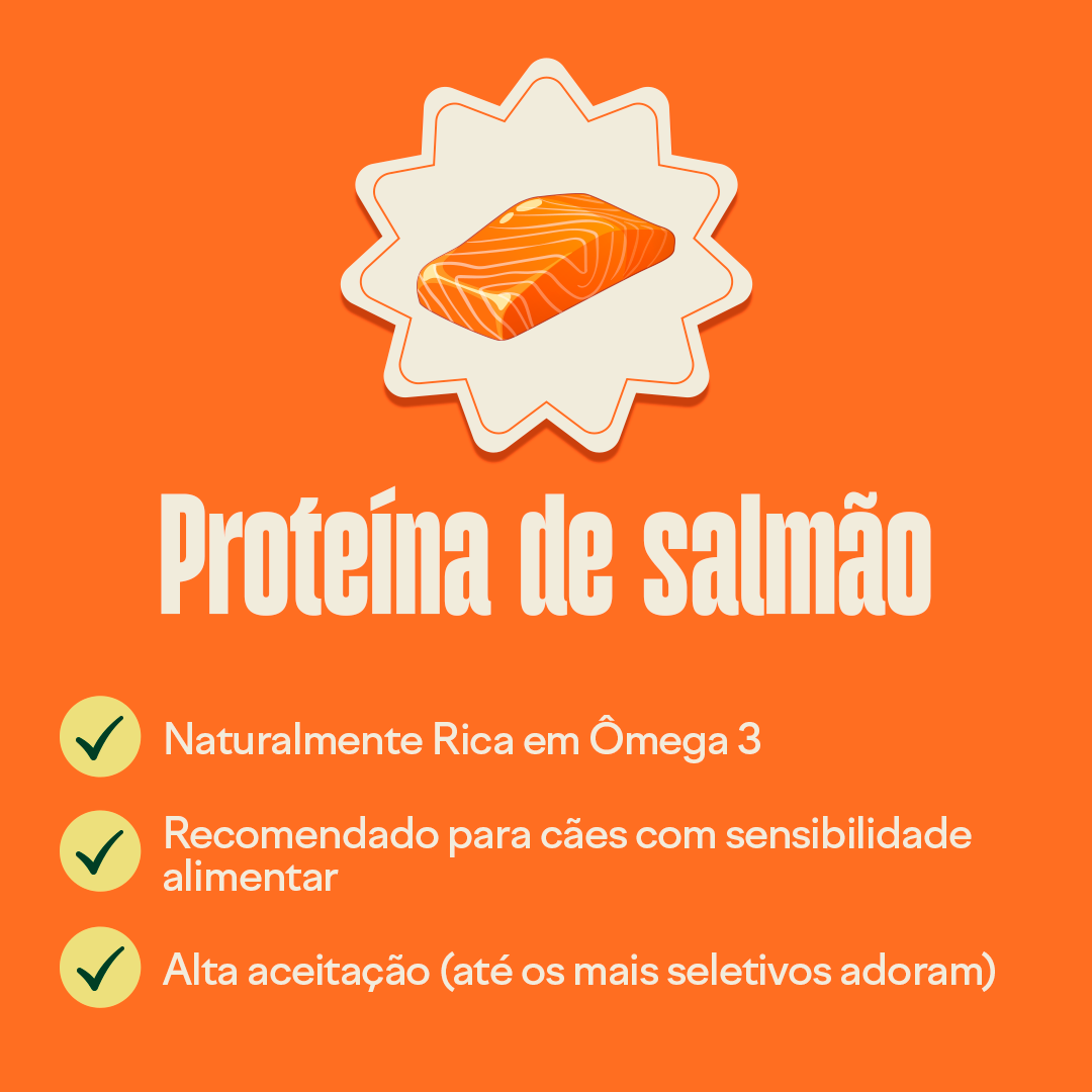 Wigow Probiótico Embalagem Econômica 100 unidades