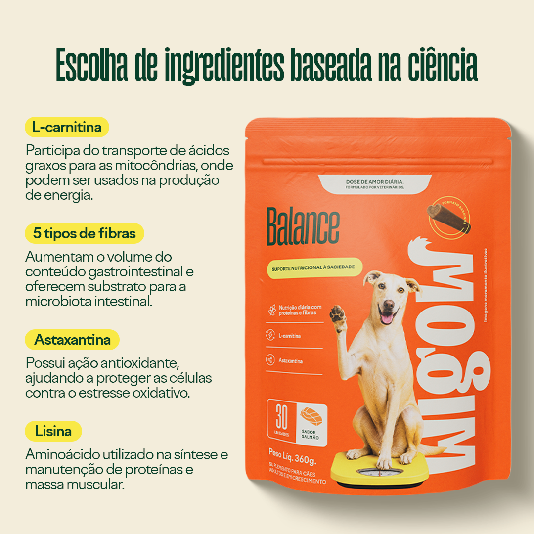 Collab Wigow  Balance + Comedouro Lento Amicus