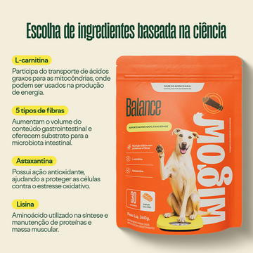Collab Wigow  Balance + Comedouro Lento Amicus