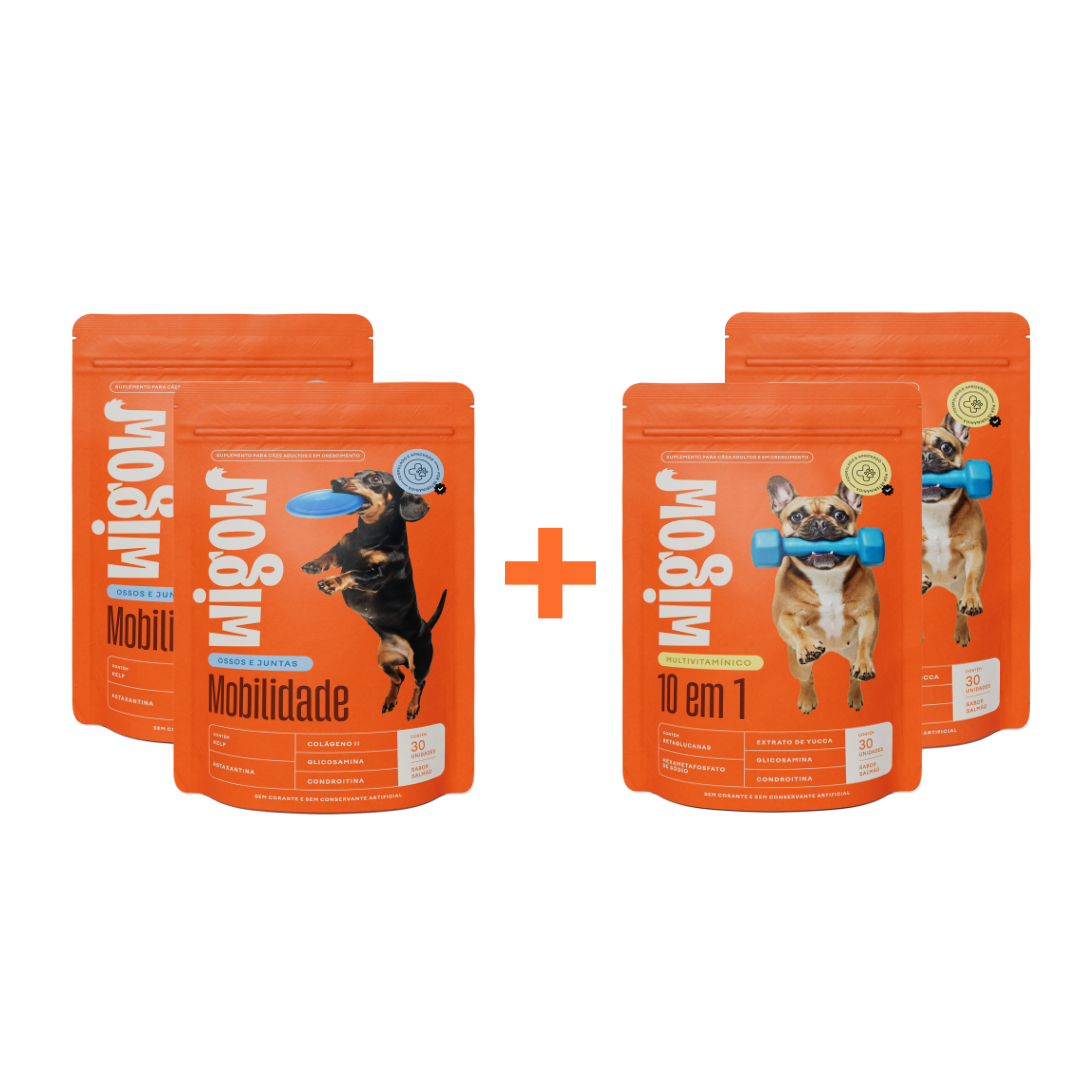 2 Suplemento Multivitamínico 10 em 1 + 2 Suplemento Mobilidade