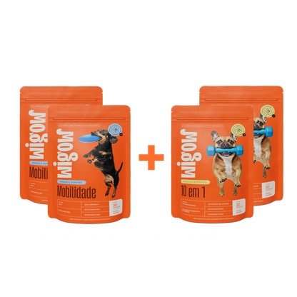 2 Suplemento Multivitamínico 10 em 1 + 2 Suplemento Mobilidade