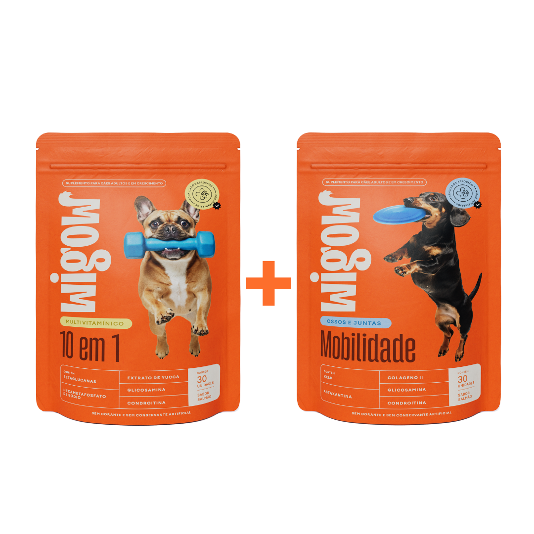 Suplemento Multivitamínico 10 em 1 + Suplemento Mobilidade