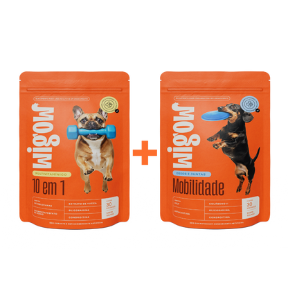Suplemento Multivitamínico 10 em 1 + Suplemento Mobilidade