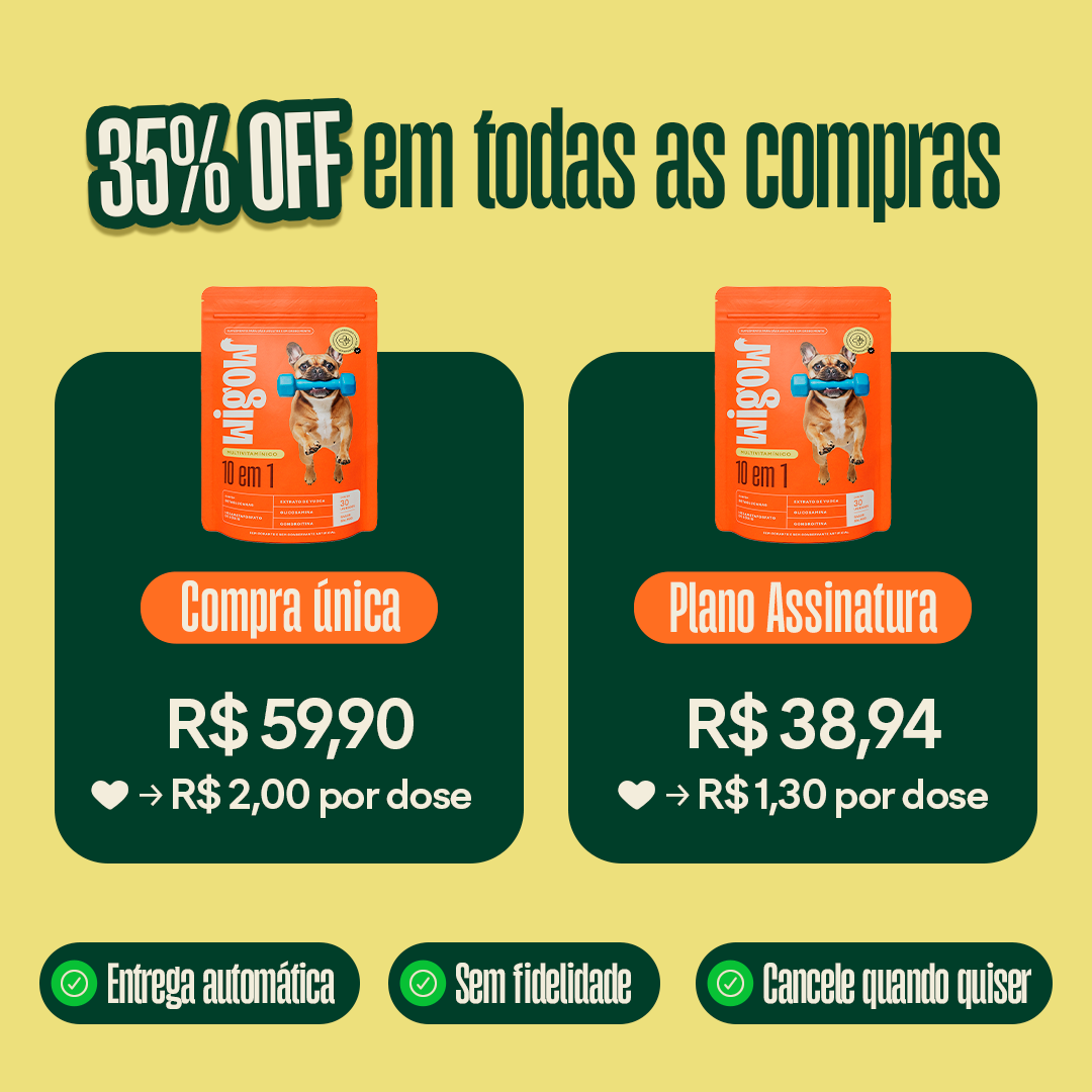 Suplemento Wigow 10 em 1 Multivitamínico 30 unidades