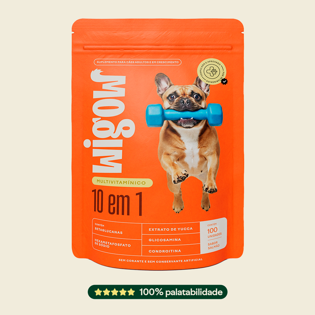 Wigow Multivitamínico 10 em 1 Embalagem Econômica 100 unidades