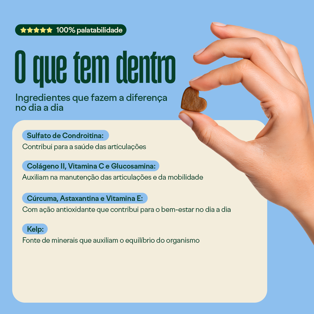 Wigow Mobilidade Embalagem Econômica 100 unidades