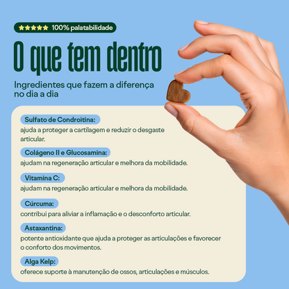 Suplemento Wigow Mobilidade 30 unidades