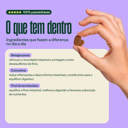 Wigow Probiótico Embalagem Econômica 100 unidades