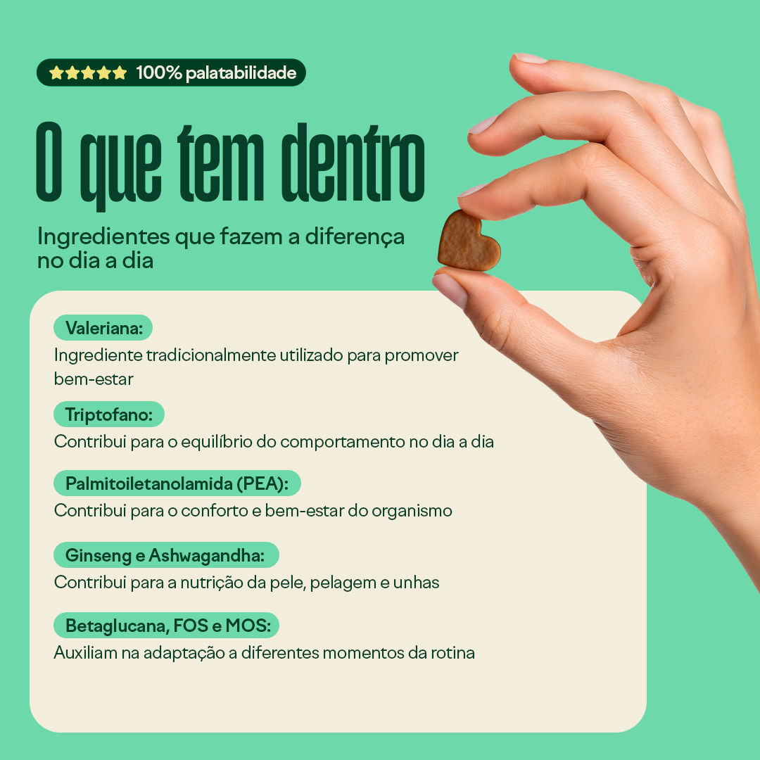 Wigow Tranquilidade Embalagem Econômica 100 unidades