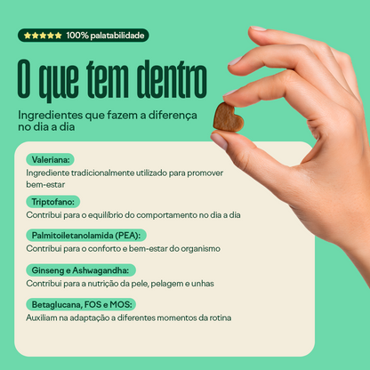 Wigow Tranquilidade Embalagem Econômica 100 unidades
