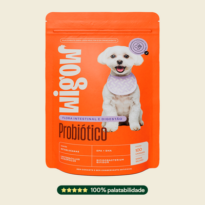 Wigow Probiótico Embalagem Econômica 100 unidades