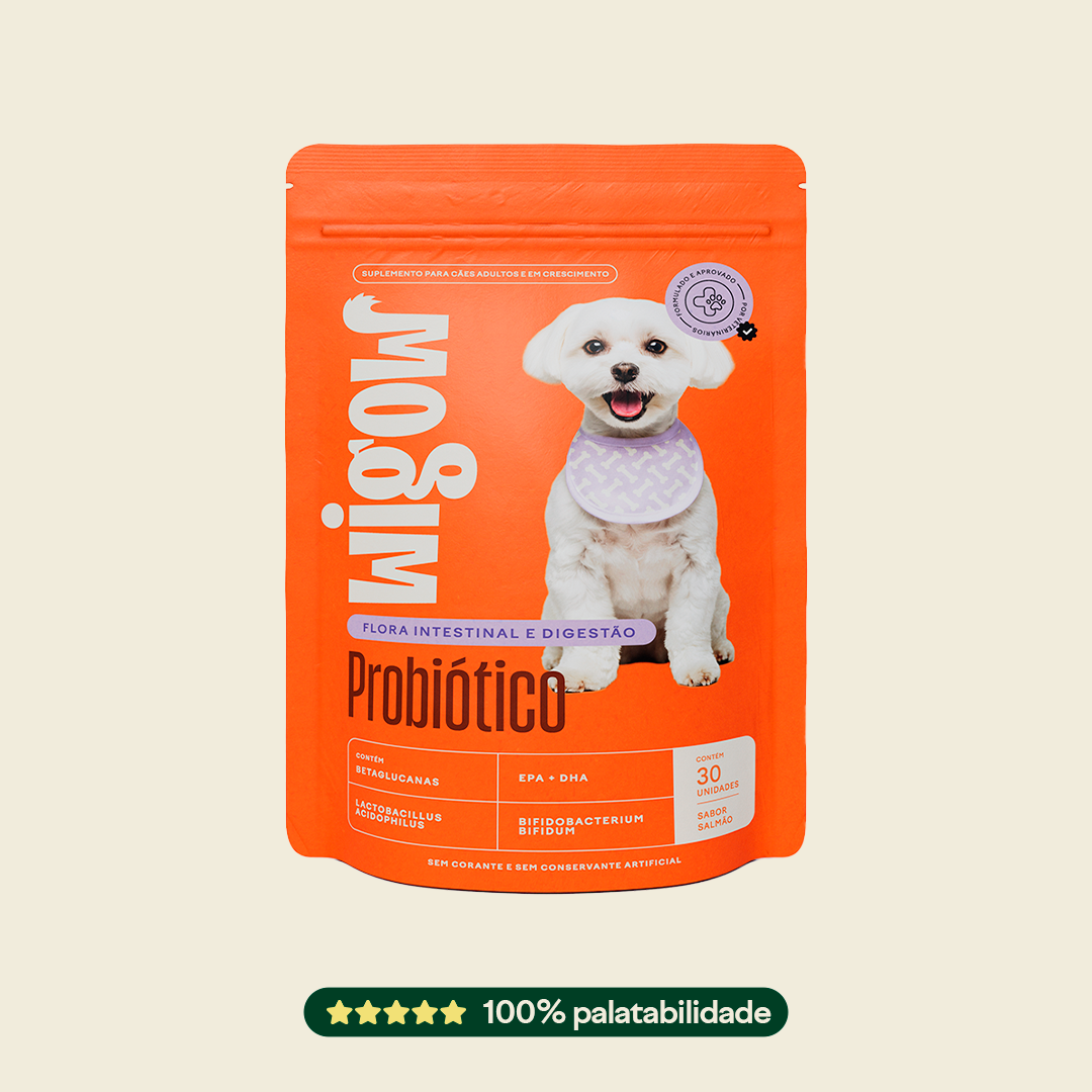 Suplemento Wigow Probiótico 30 unidades