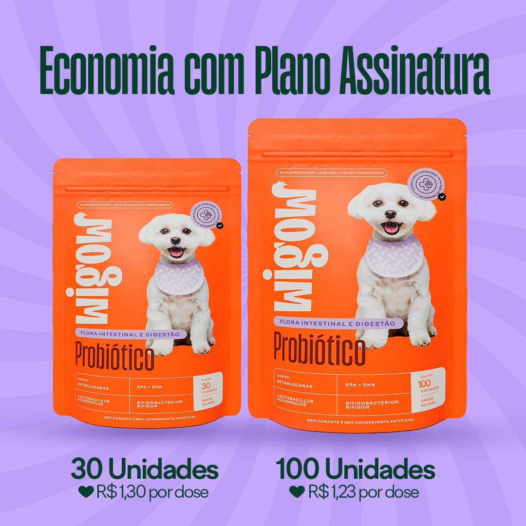 Wigow Probiótico Embalagem Econômica 100 unidades