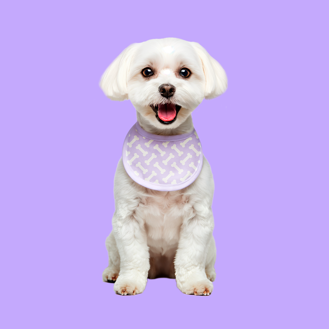 Mais energia e disposição