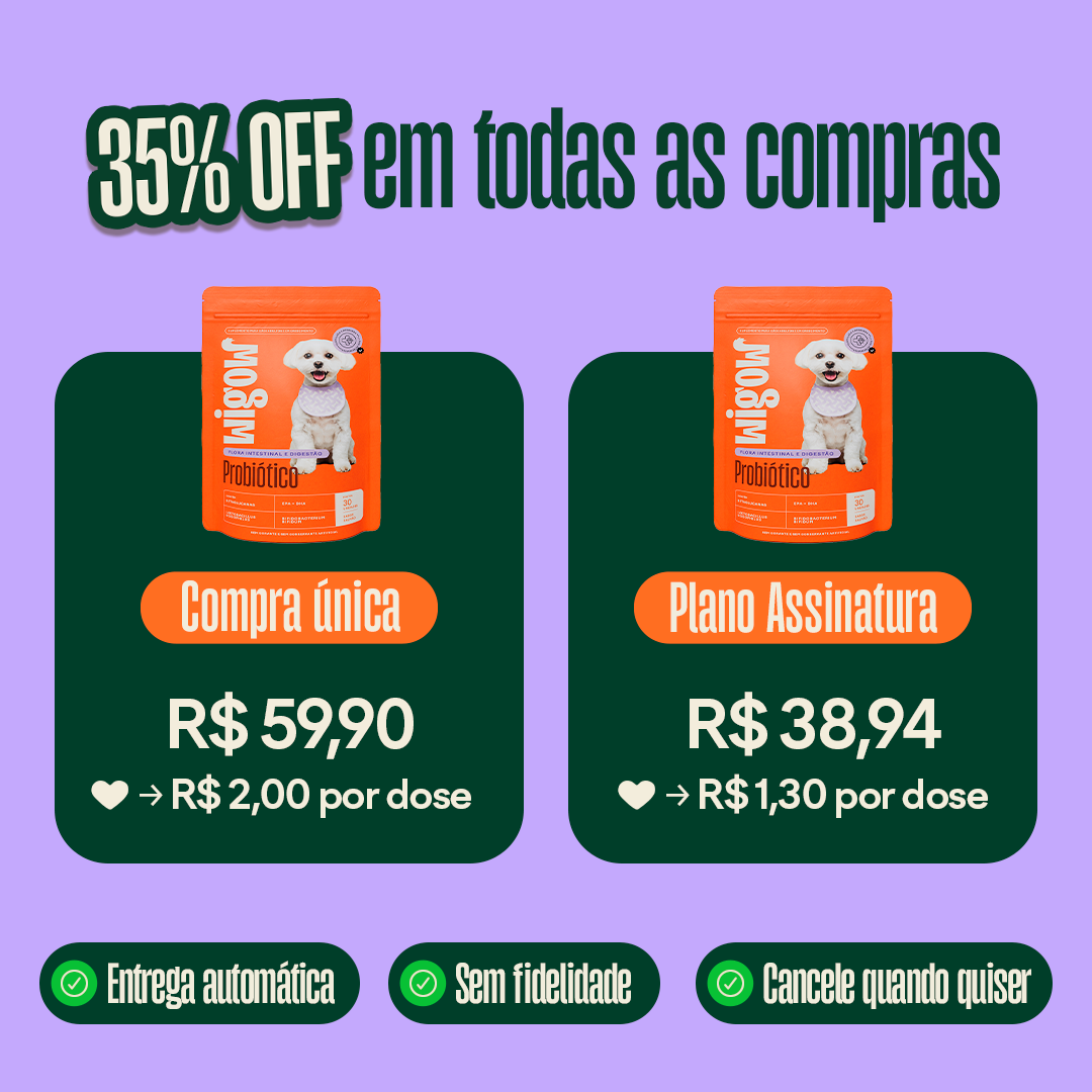 Suplemento Wigow Probiótico 30 unidades