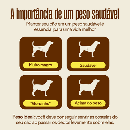 Kit Balance + Mobilidade: Peso e Articulações