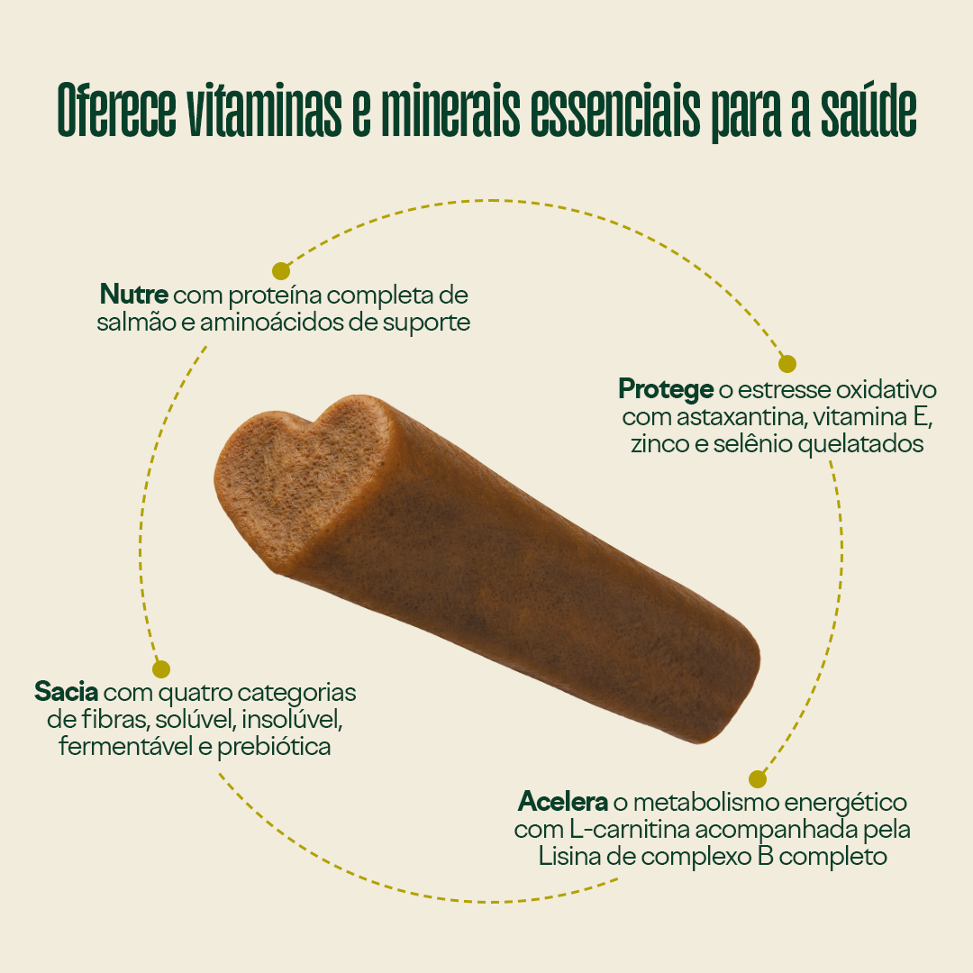Collab Wigow  Balance + Comedouro Lento Amicus